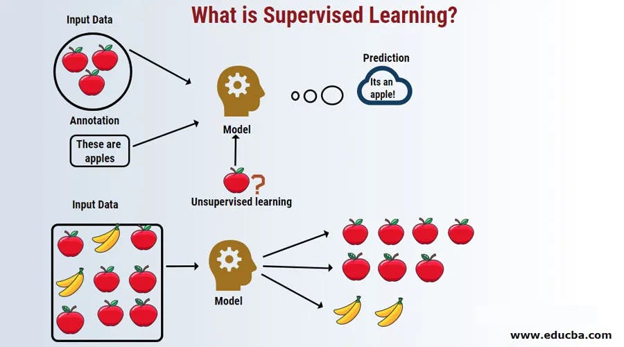 Supervised fashion and unsupervised learning in data science